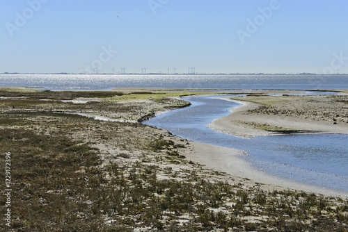 Narrow channel in alluvial land, Wangerooge, Friesland, Lower Saxony, Germany, Europe