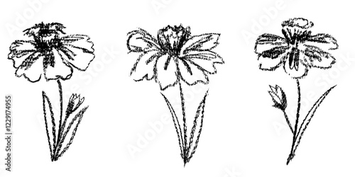 Daffodil flowers. Hand drawn floral elements set in grunge style. Monochrome artistic botanical vector illustration