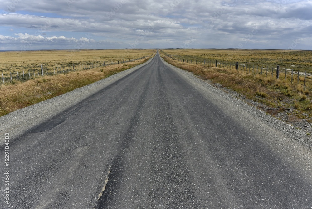 Fototapeta premium Road through the pampas of Tierra del Fuego, Tierra del Fuego, from Porvenier to Ushuaia, Argentina, South America
