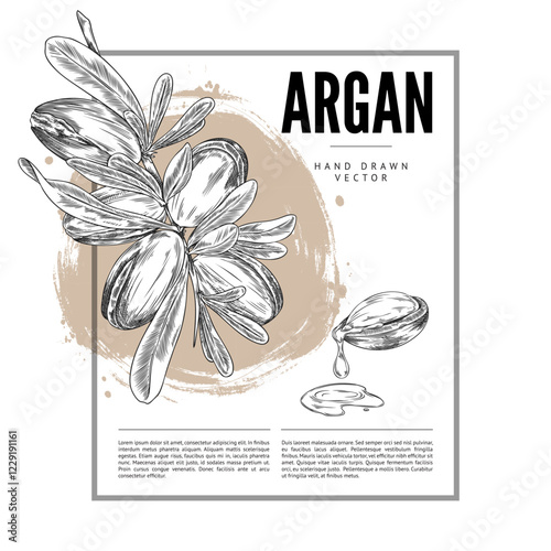 Black and white poster illustration with argan branch and oil, in a rectangular frame.