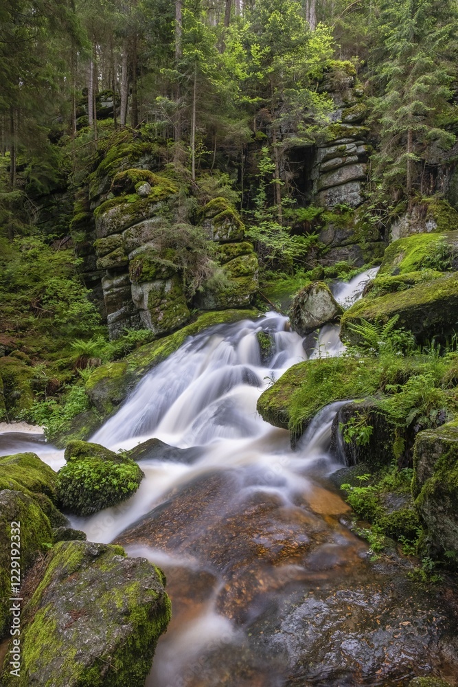 Fototapeta premium Lohnbach Falls, Pehendorf, Schönbach, Waldviertel, Lower Austria, Austria, Europe