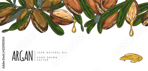 Argan leaves and nuts sketch, seamless border vector design, hand drawn cosmetic and medical plant, dripping oil fruits
