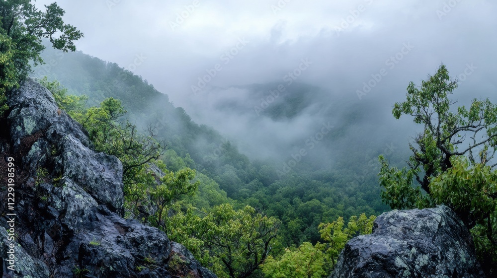 Misty mountain landscape hike foggy forest nature serene environment aerial view Misty mountain landscape hike foggy forest nature serene environment aerial view