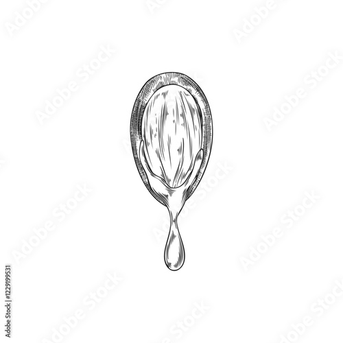 Vector black and white illustration of argan nut with oil drop flowing out.