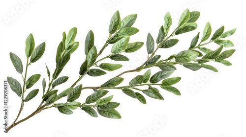 A single green leaf sits on a clean white surface, perfect for representing nature or simplicity in your project