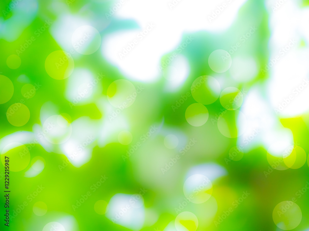 Obraz premium Green background blur abstract light pattern texture spring forest soft focus, plant day backdrop garden design for aroma spa herb, ecosystem environment change future.