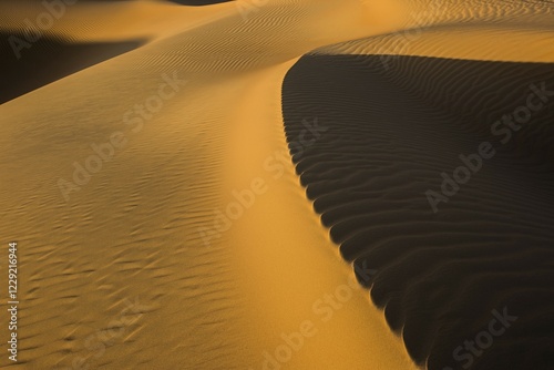 Sand dune crest, light and shadow, Rub' al Khali or Empty Quarter, United Arab Emirates, Asia photo