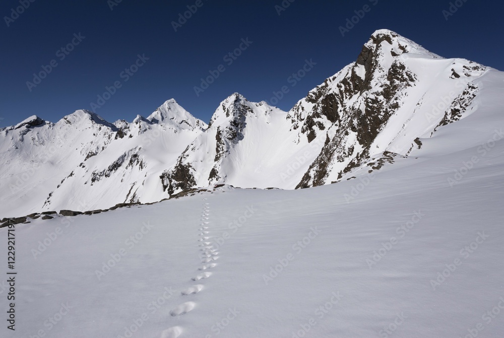 Obraz premium Snow tracks, view of the Zischgeles peak, Stubai Alps, Tyrol, Austria, Europe