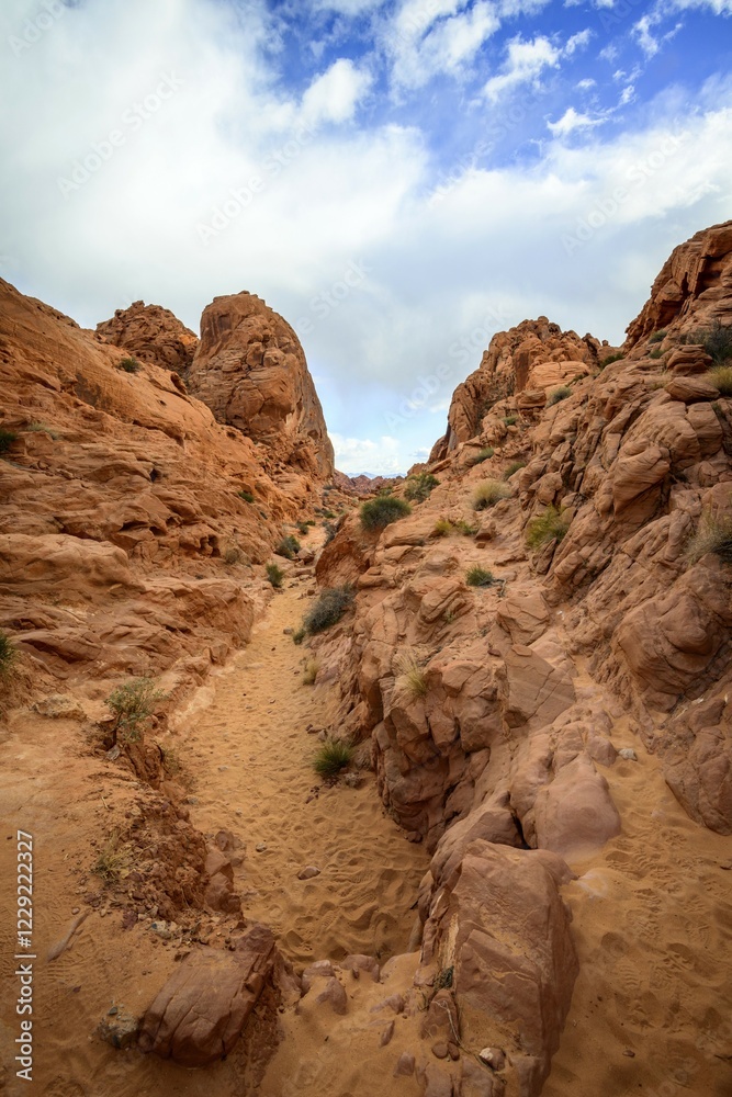 Fototapeta premium Rainbow Vista Trail, red sandstone rocks, Mojave desert, sandstone formation, Valley of Fire State Park, Nevada, USA, North America
