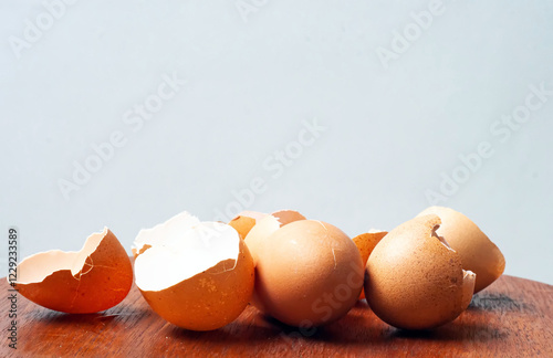 a bunch of chicken egg shells