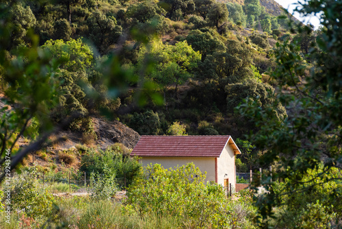A small house in the forest in Setif, Algeria.
