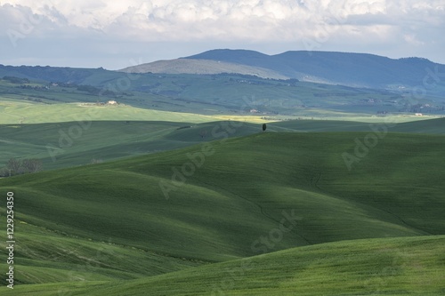 Hilly landscape, Crete Senesi, Province of Siena, Tuscany, Italy, Europe photo