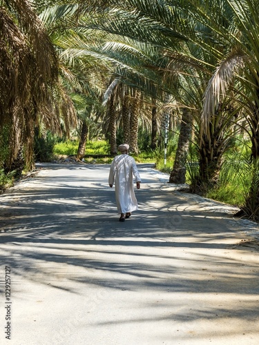 Date palm grove, Birkat al Mawz mountain village, Dhakiliya Region, Oman, Asia photo