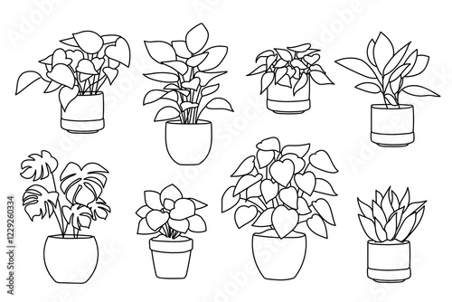 Set of plant in pot hand drawn vector illustrations house plant, home decoration