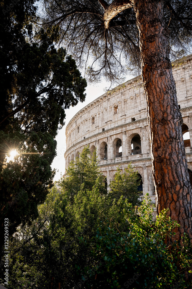 Fototapeta premium The Colosseum in Rome framed by lush greenery and warm sunlight