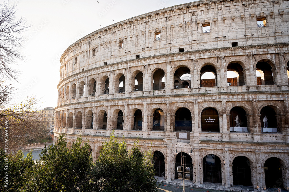 Fototapeta premium The Colosseum in Rome bathed in warm sunlight, framed by greenery