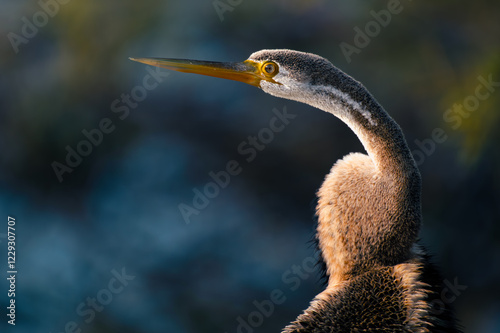 Snakebird