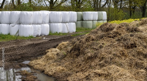 Tableau sur toile Hay bales and dung heap on an agricultural field, Berlin, Germany, Europe