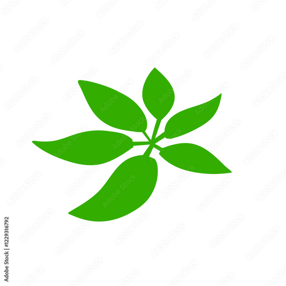 tropical leaves illustration
tropical leaves illustration
