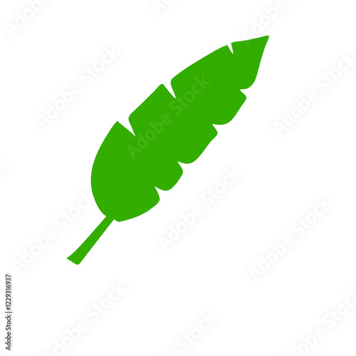 tropical leaves illustration
