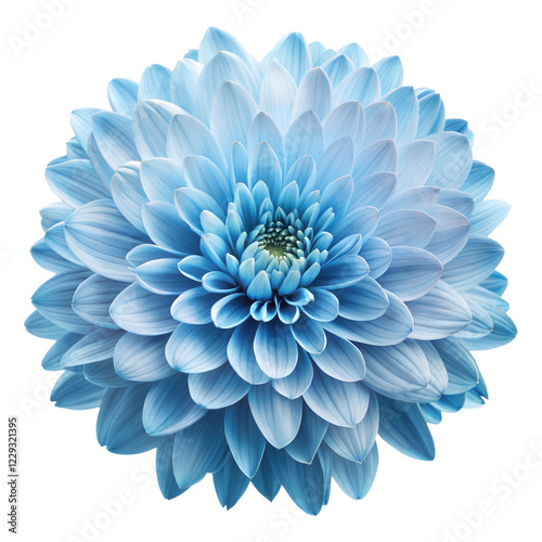 Wallpaper Mural blue dahlia flower Torontodigital.ca