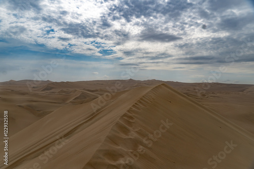 Fototapeta Naklejka Na Ścianę i Meble -  sand dunes in the desert