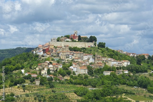 Vineyards, townscape, Motovun, Istria, Croatia, Europe photo