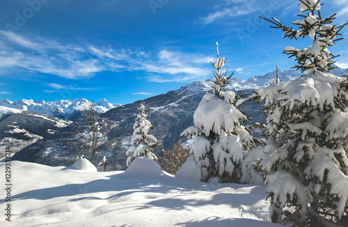 view of snowy alpine mountain range with fir covered with fresh snow in the tarentaise valley in France photo