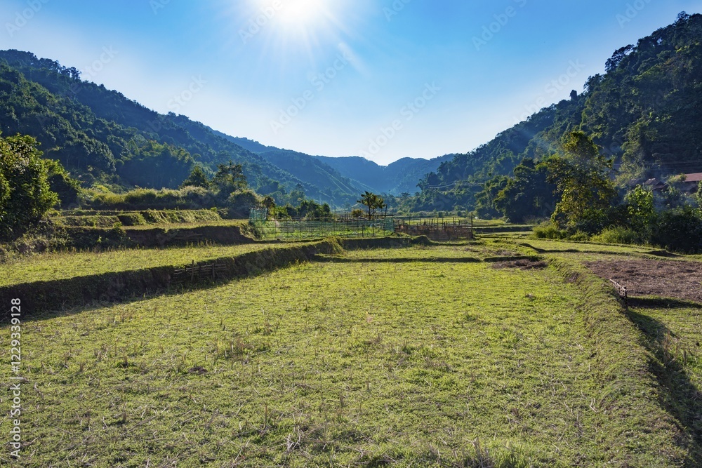 Obraz premium Harvested rice paddies, backlit, Luang Namtha, Laos, Asia