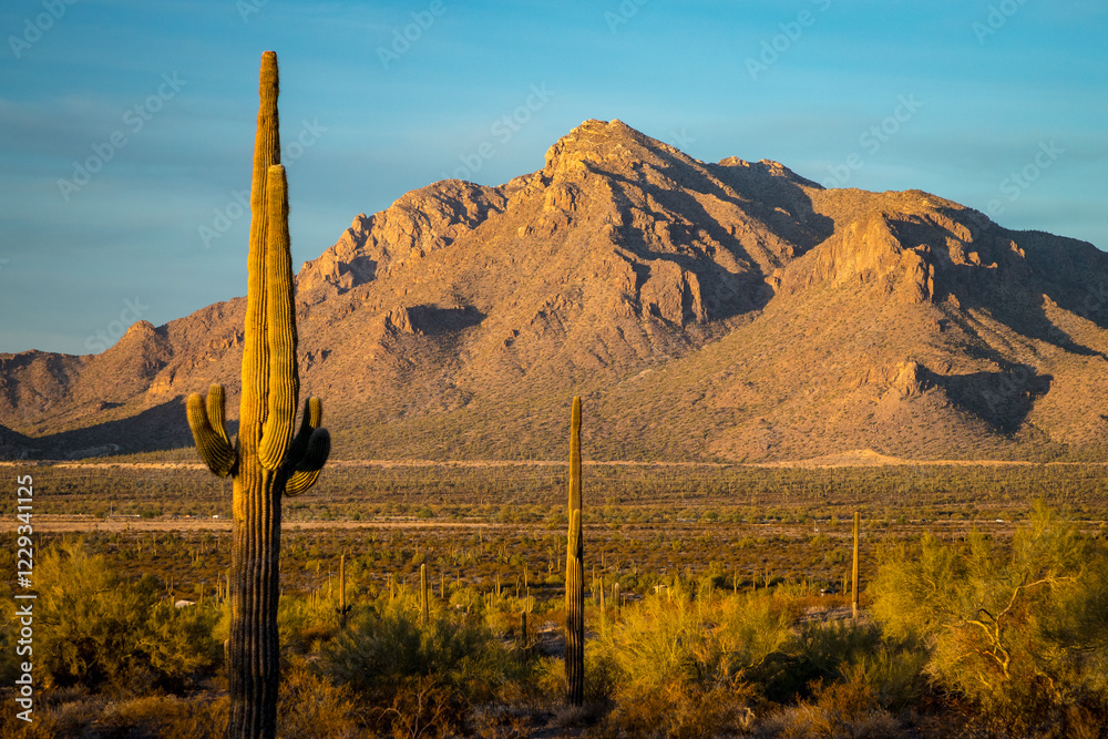 Sunset over Newman Peak with Saguaro Cacti