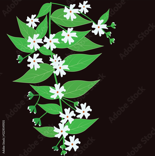 Vector illustration of night flowering jasmine flower branch