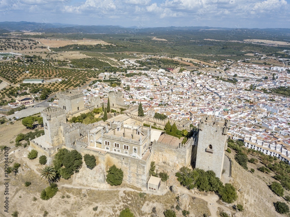 Fototapeta premium Drone image of Castle of Almodovar del Rio, Cordoba, Andalusia, Spain, Europe