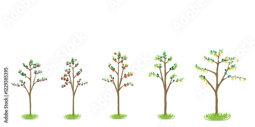 fenced garden with various fruit trees