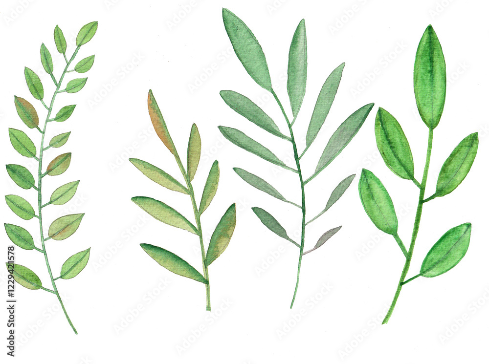 Green twigs watercolor. Twigs with leaves spring motifs. Green twigs watercolor. Twigs with leaves spring motifs.