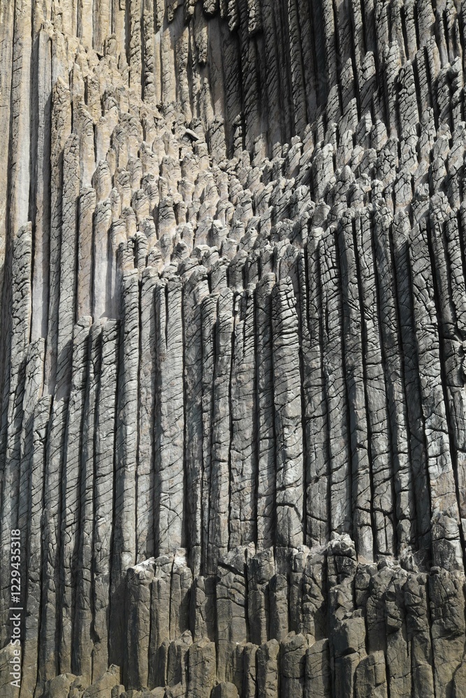 Obraz premium Basalt columns Los Órganos, La Gomera, Canary Islands, Spain, Europe