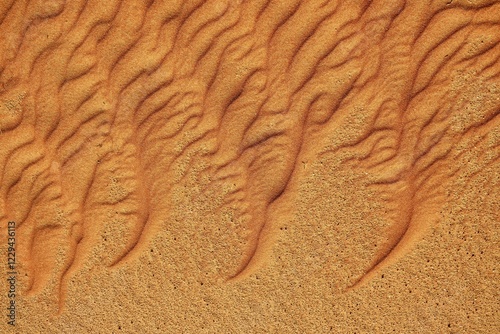 Sand ripples in the sand, dunes, Rub al Khali desert, Dhofar, Oman, Asia