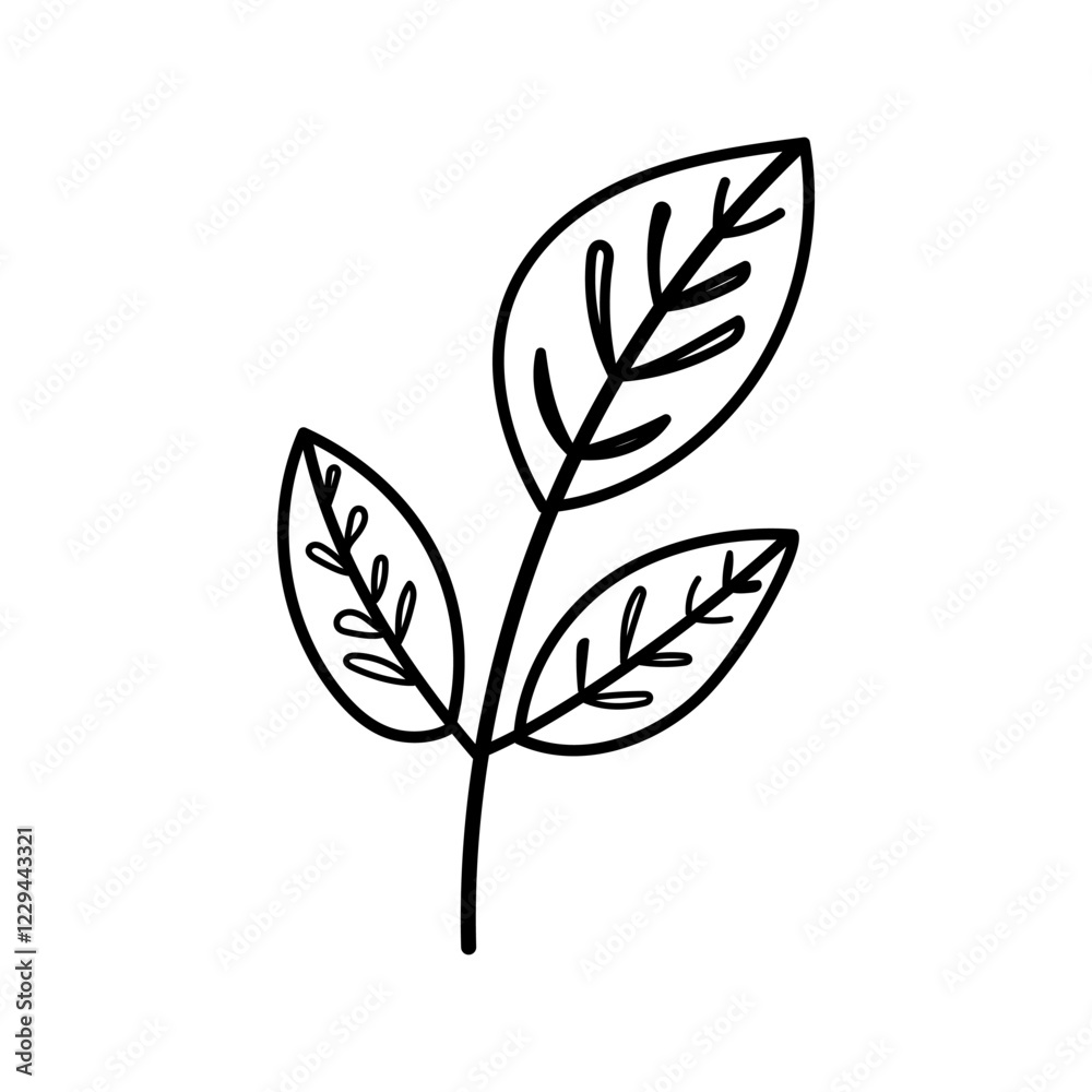 Botanical leaf outline illustration for eco-friendly nature-inspired design Botanical leaf outline illustration for eco-friendly nature-inspired design
