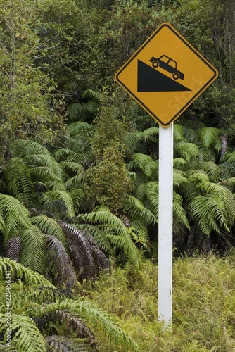 Traffic sign, steep hill in the Kahurangi National Park, Kohaihai, West Coast, South Island, New Zealand, Oceania photo