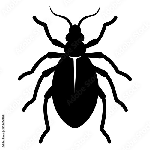 black and white beetle