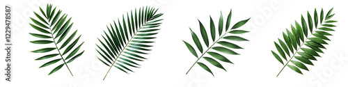Vibrant Tropical Palm Leaves on Natural Background  Closeup of Green Lush Foliage Fronds in Exotic Jungle or Rainforest Environment  Organic Nature Pattern and Textured Landscape