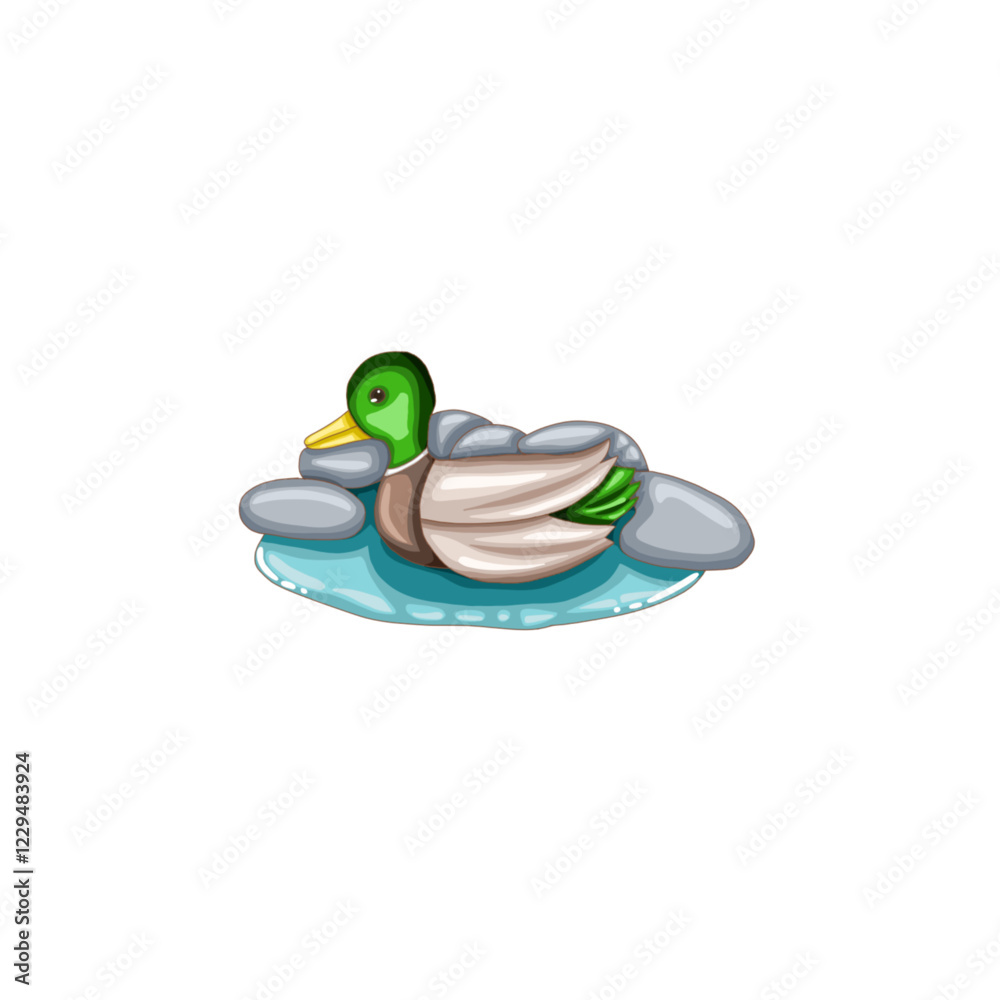 Fototapeta premium a teal duck swimming in a pool.