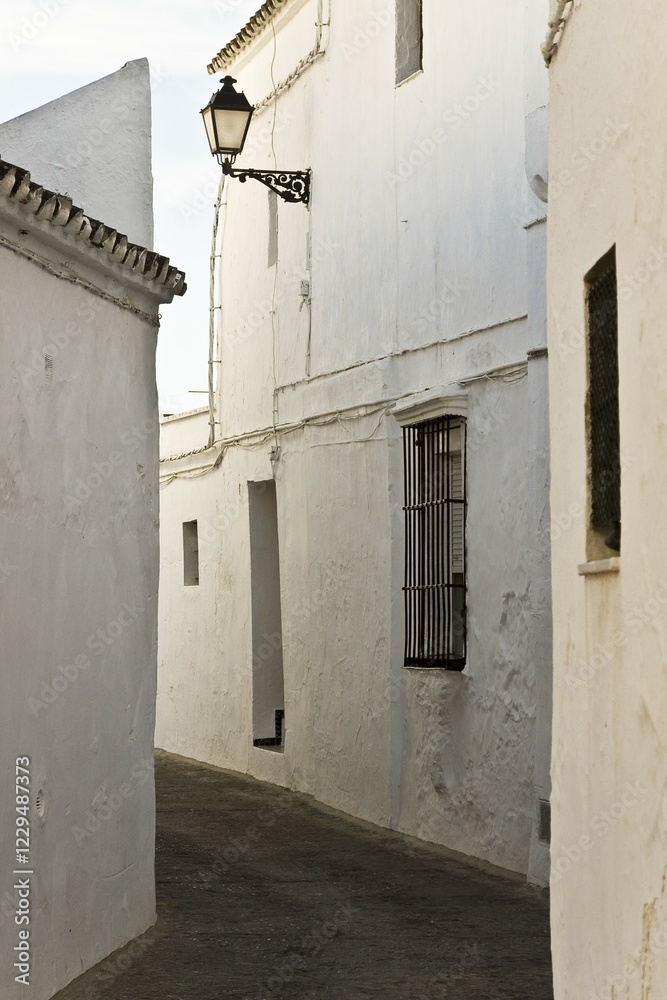 Narrow alleyway in an Andalusian village, Spain, Europe Narrow alleyway in an Andalusian village, Spain, Europe