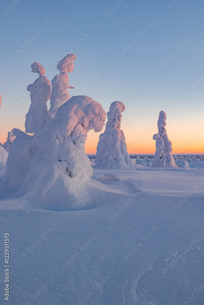 winter landscape with snow