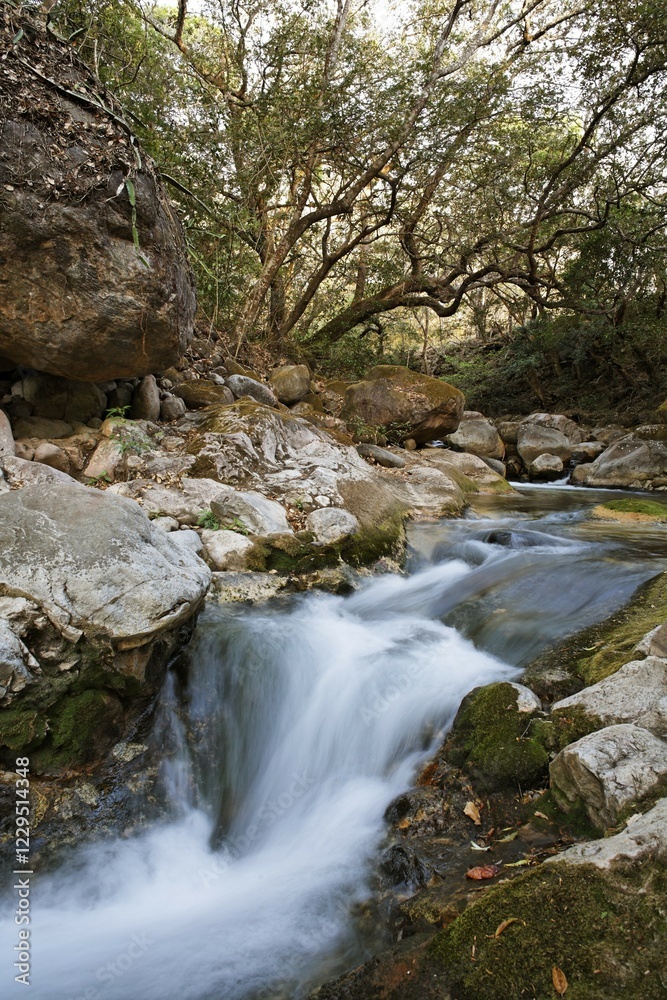 Fototapeta premium Poza Roja, Hacienda Guachipelin, Rincon de la Vieja, Guanacaste, Costa Rica, Central America