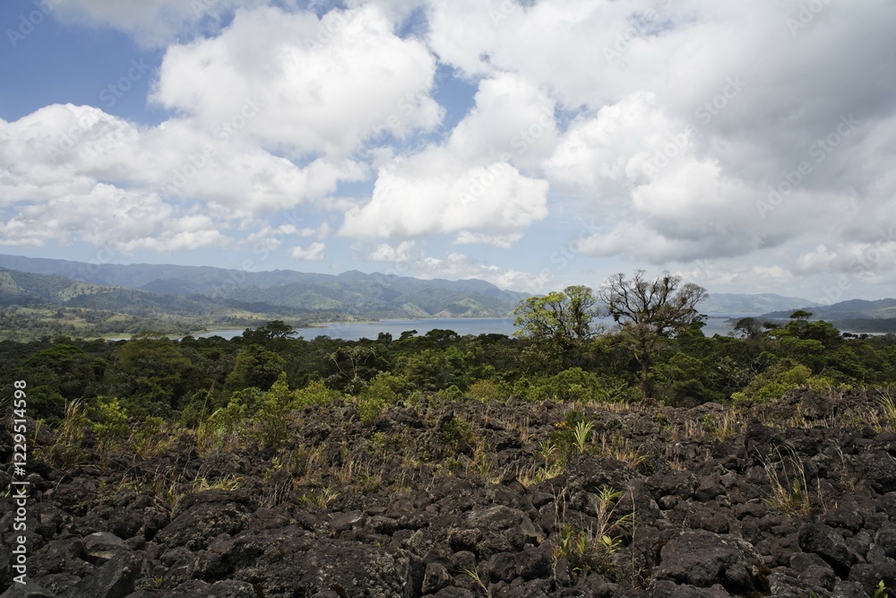 Fototapeta premium Lake Arenal, field of lava of 1993, National Park Arenal, Costa Rica, Central America