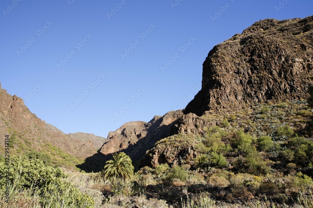 Fototapeta premium Barranco de Guayadeque, Gran Canaria, Spain, Europe