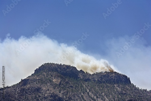 Forest fires, Gran Canaria, Spain, Europe photo