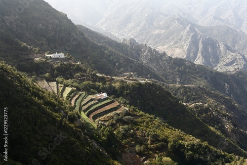 El Tion near Vallehermoso, La Gomera, Canary Islands, Spain, Europe photo