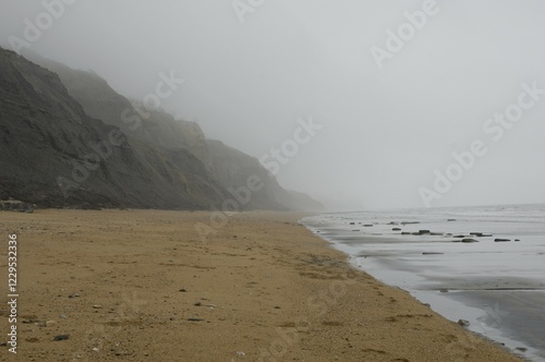 Jurassic Coast cliffs Charmouth near Lyme Regis Dorset East Devon Coast England photo