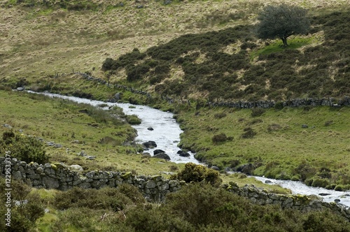 Valley of River Dart near Two Bridges Dartmoor National Park Devon England photo